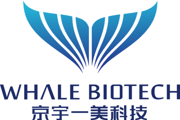 北京京宇一美-注射器活塞推力测试仪合作